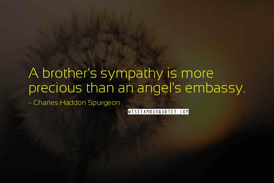 Charles Haddon Spurgeon Quotes: A brother's sympathy is more precious than an angel's embassy.