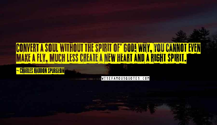 Charles Haddon Spurgeon Quotes: Convert a soul without the Spirit of' God! Why, you cannot even make a fly, much less create a new heart and a right spirit.