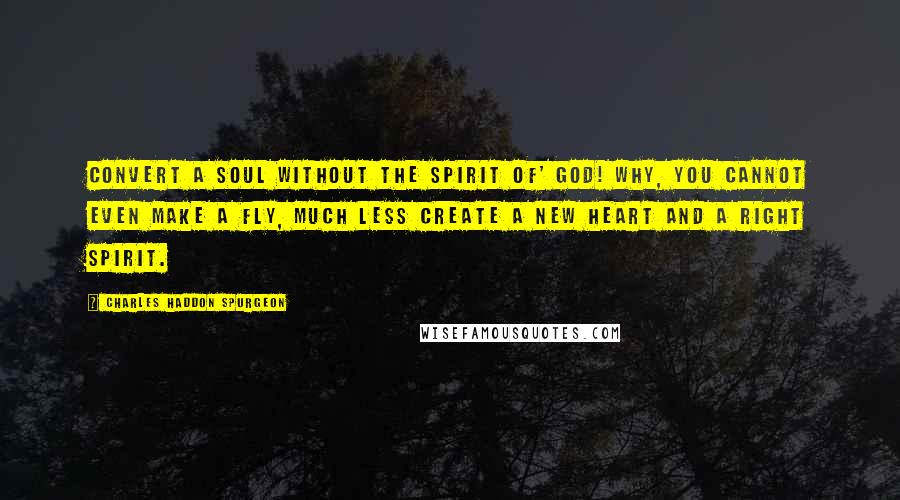 Charles Haddon Spurgeon Quotes: Convert a soul without the Spirit of' God! Why, you cannot even make a fly, much less create a new heart and a right spirit.