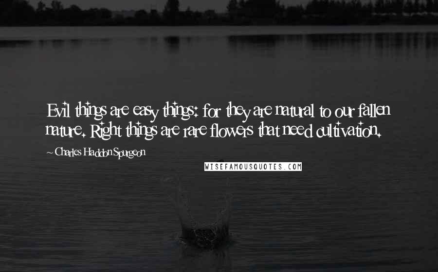 Charles Haddon Spurgeon Quotes: Evil things are easy things: for they are natural to our fallen nature. Right things are rare flowers that need cultivation.