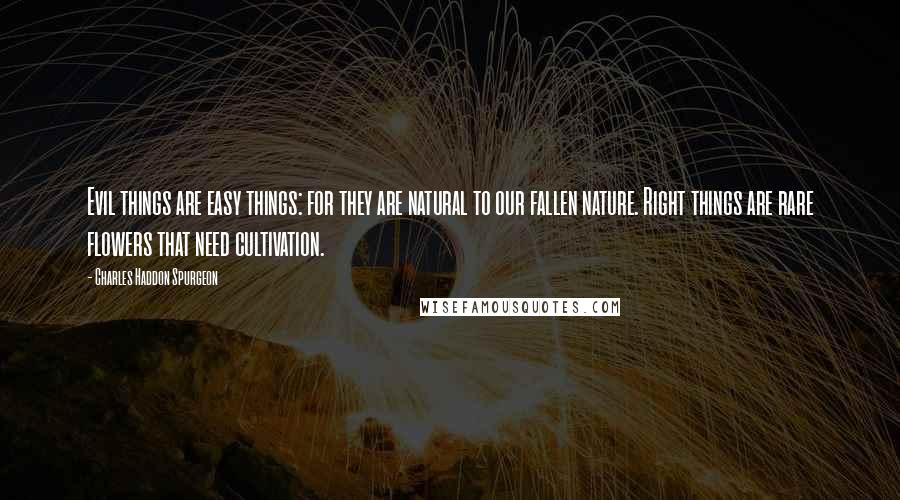 Charles Haddon Spurgeon Quotes: Evil things are easy things: for they are natural to our fallen nature. Right things are rare flowers that need cultivation.