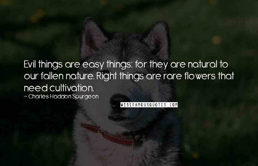 Charles Haddon Spurgeon Quotes: Evil things are easy things: for they are natural to our fallen nature. Right things are rare flowers that need cultivation.