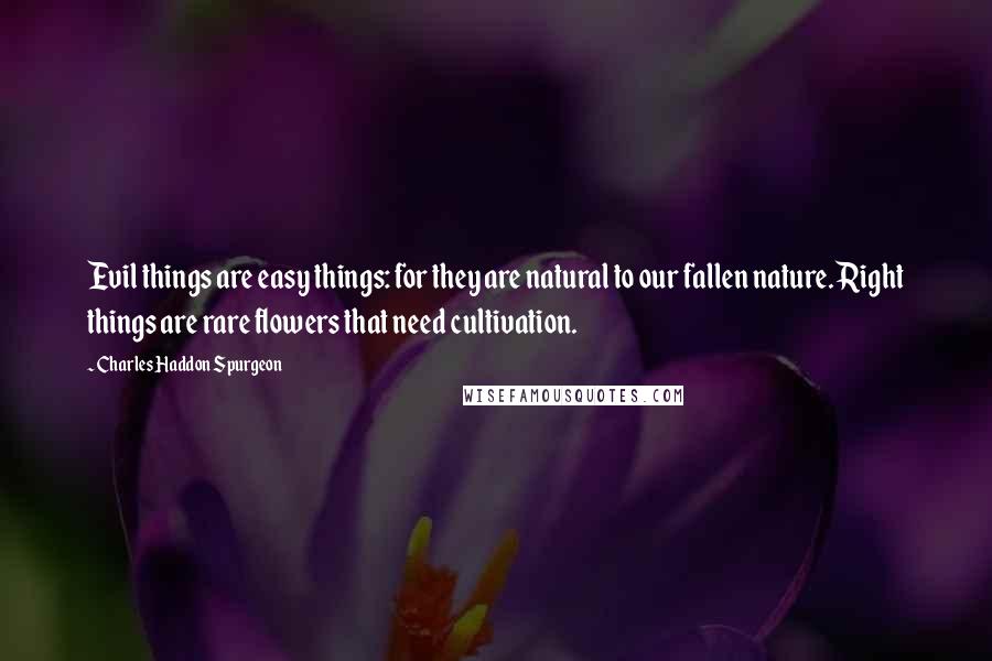 Charles Haddon Spurgeon Quotes: Evil things are easy things: for they are natural to our fallen nature. Right things are rare flowers that need cultivation.