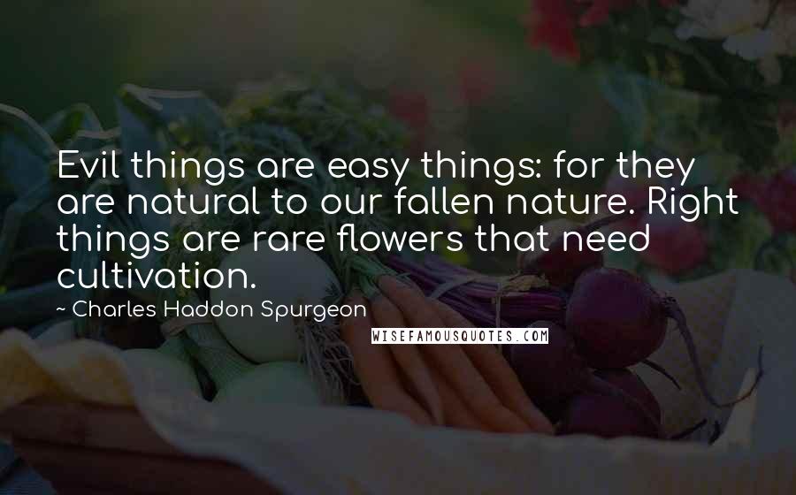 Charles Haddon Spurgeon Quotes: Evil things are easy things: for they are natural to our fallen nature. Right things are rare flowers that need cultivation.