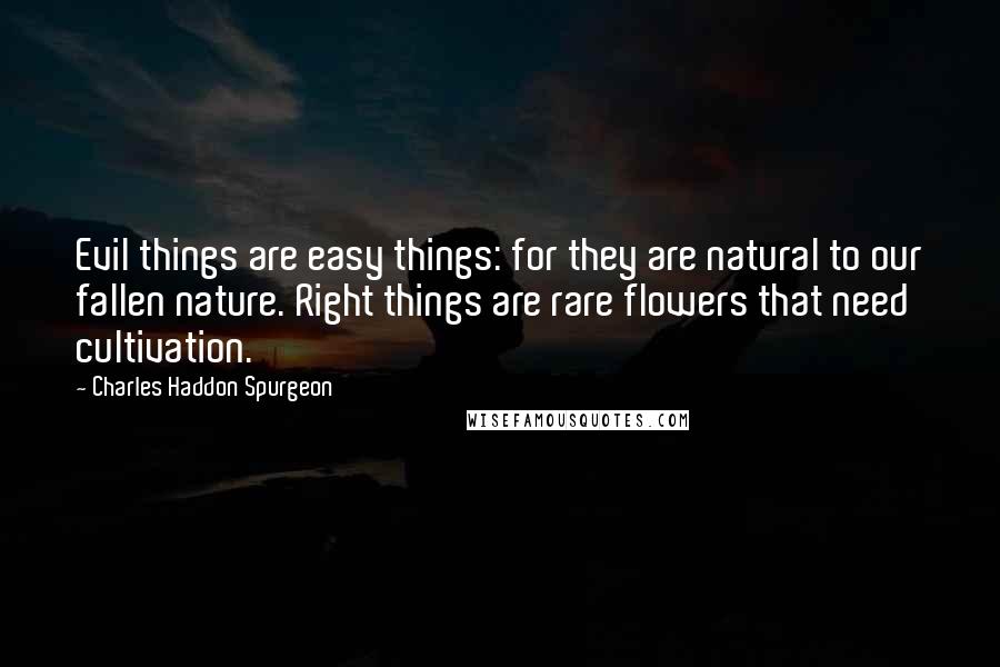 Charles Haddon Spurgeon Quotes: Evil things are easy things: for they are natural to our fallen nature. Right things are rare flowers that need cultivation.