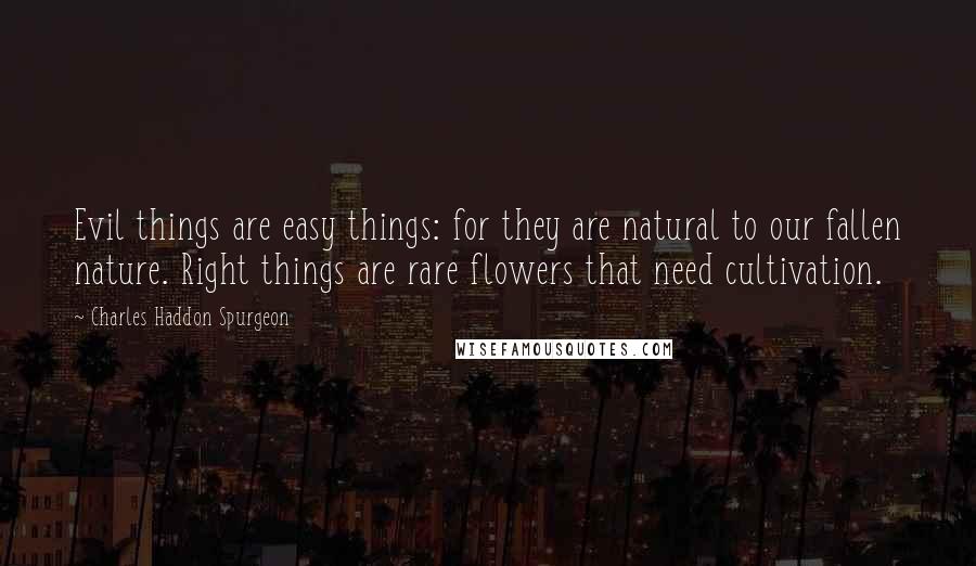 Charles Haddon Spurgeon Quotes: Evil things are easy things: for they are natural to our fallen nature. Right things are rare flowers that need cultivation.