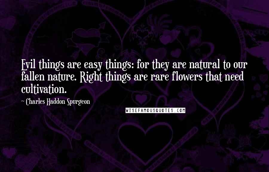 Charles Haddon Spurgeon Quotes: Evil things are easy things: for they are natural to our fallen nature. Right things are rare flowers that need cultivation.