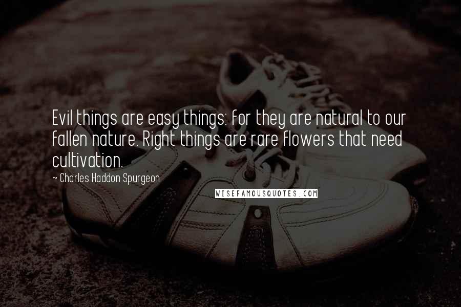 Charles Haddon Spurgeon Quotes: Evil things are easy things: for they are natural to our fallen nature. Right things are rare flowers that need cultivation.