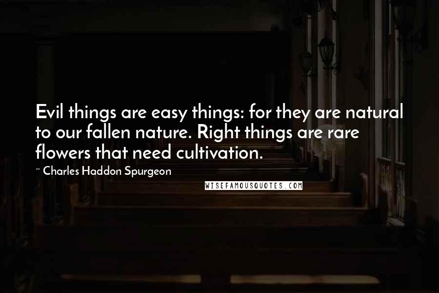 Charles Haddon Spurgeon Quotes: Evil things are easy things: for they are natural to our fallen nature. Right things are rare flowers that need cultivation.