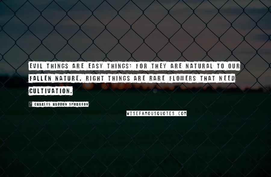 Charles Haddon Spurgeon Quotes: Evil things are easy things: for they are natural to our fallen nature. Right things are rare flowers that need cultivation.