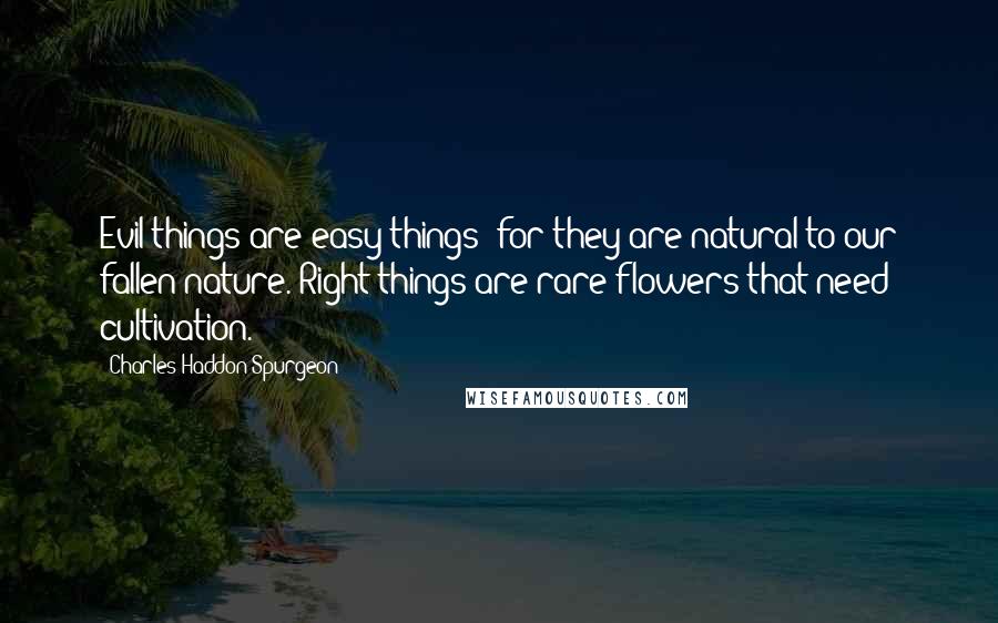 Charles Haddon Spurgeon Quotes: Evil things are easy things: for they are natural to our fallen nature. Right things are rare flowers that need cultivation.