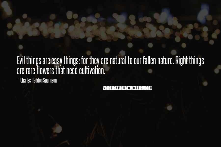 Charles Haddon Spurgeon Quotes: Evil things are easy things: for they are natural to our fallen nature. Right things are rare flowers that need cultivation.