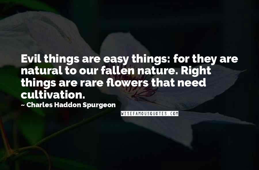 Charles Haddon Spurgeon Quotes: Evil things are easy things: for they are natural to our fallen nature. Right things are rare flowers that need cultivation.