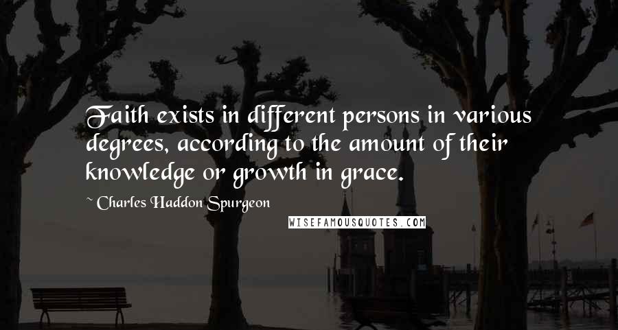 Charles Haddon Spurgeon Quotes: Faith exists in different persons in various degrees, according to the amount of their knowledge or growth in grace.