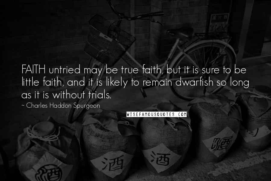 Charles Haddon Spurgeon Quotes: FAITH untried may be true faith, but it is sure to be little faith, and it is likely to remain dwarfish so long as it is without trials.