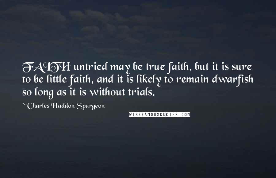 Charles Haddon Spurgeon Quotes: FAITH untried may be true faith, but it is sure to be little faith, and it is likely to remain dwarfish so long as it is without trials.