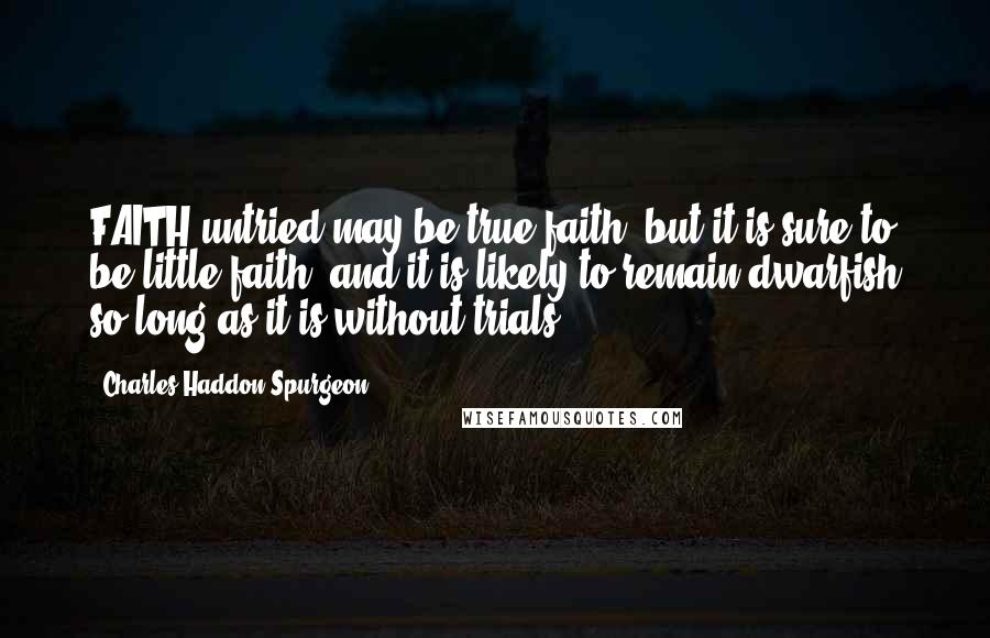 Charles Haddon Spurgeon Quotes: FAITH untried may be true faith, but it is sure to be little faith, and it is likely to remain dwarfish so long as it is without trials.