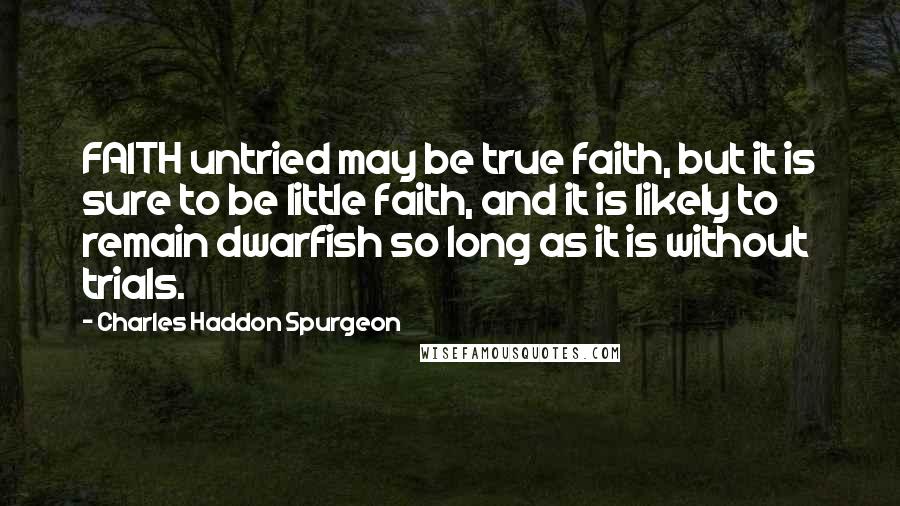 Charles Haddon Spurgeon Quotes: FAITH untried may be true faith, but it is sure to be little faith, and it is likely to remain dwarfish so long as it is without trials.