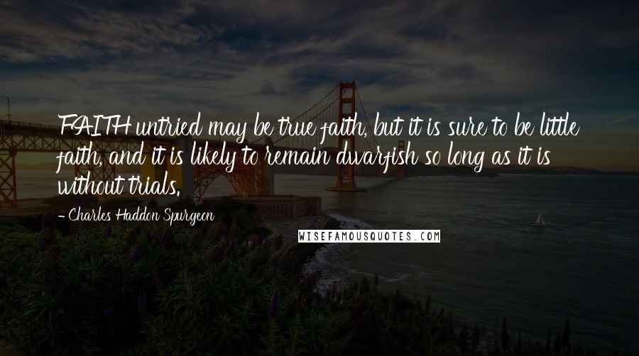 Charles Haddon Spurgeon Quotes: FAITH untried may be true faith, but it is sure to be little faith, and it is likely to remain dwarfish so long as it is without trials.