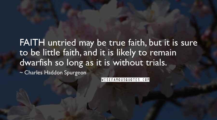 Charles Haddon Spurgeon Quotes: FAITH untried may be true faith, but it is sure to be little faith, and it is likely to remain dwarfish so long as it is without trials.