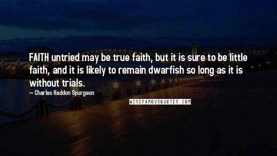 Charles Haddon Spurgeon Quotes: FAITH untried may be true faith, but it is sure to be little faith, and it is likely to remain dwarfish so long as it is without trials.