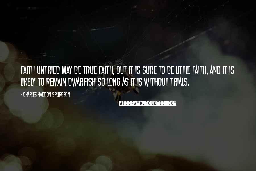 Charles Haddon Spurgeon Quotes: FAITH untried may be true faith, but it is sure to be little faith, and it is likely to remain dwarfish so long as it is without trials.