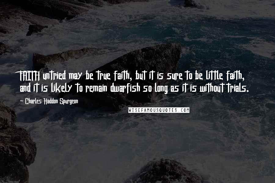 Charles Haddon Spurgeon Quotes: FAITH untried may be true faith, but it is sure to be little faith, and it is likely to remain dwarfish so long as it is without trials.