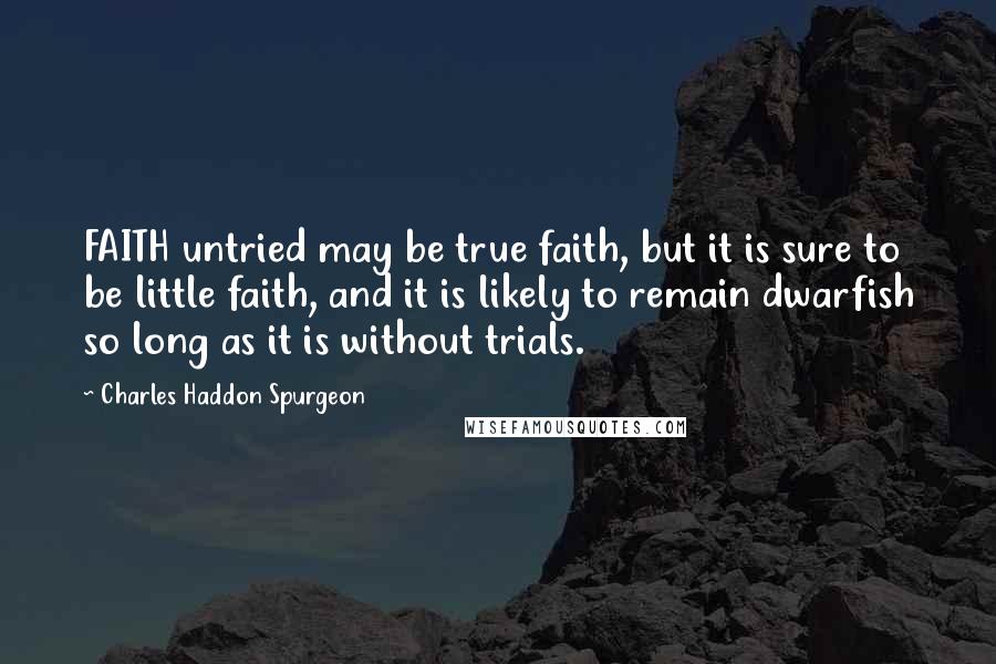 Charles Haddon Spurgeon Quotes: FAITH untried may be true faith, but it is sure to be little faith, and it is likely to remain dwarfish so long as it is without trials.