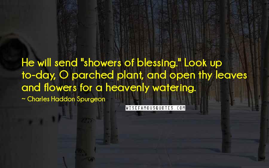 Charles Haddon Spurgeon Quotes: He will send "showers of blessing." Look up to-day, O parched plant, and open thy leaves and flowers for a heavenly watering.