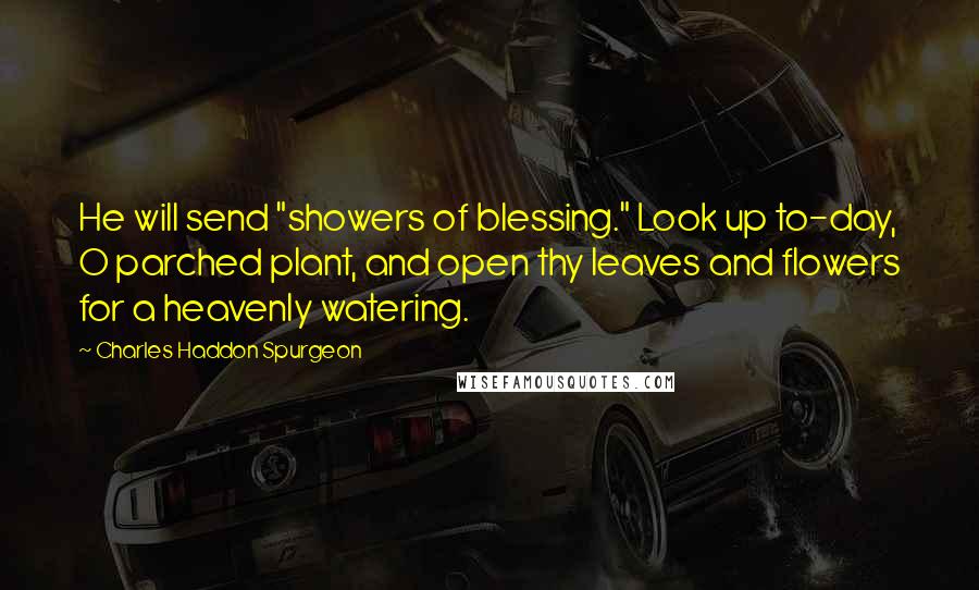 Charles Haddon Spurgeon Quotes: He will send "showers of blessing." Look up to-day, O parched plant, and open thy leaves and flowers for a heavenly watering.