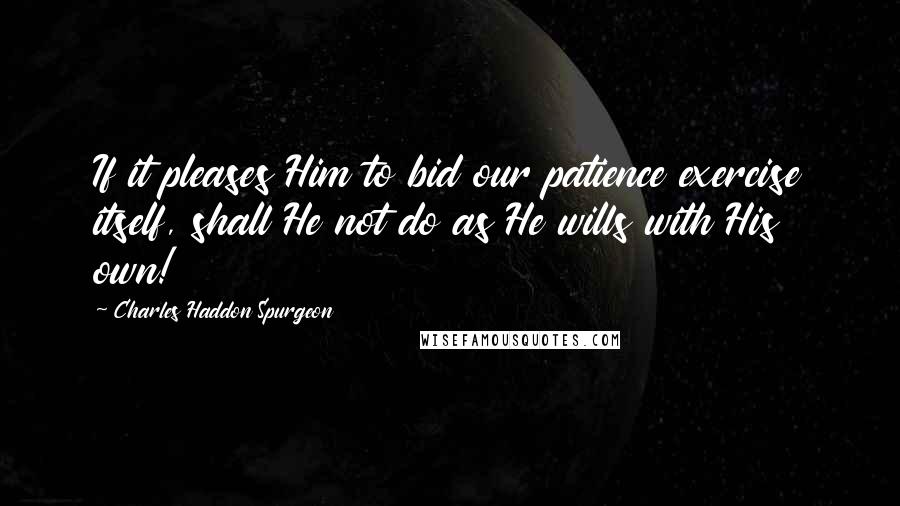 Charles Haddon Spurgeon Quotes: If it pleases Him to bid our patience exercise itself, shall He not do as He wills with His own!
