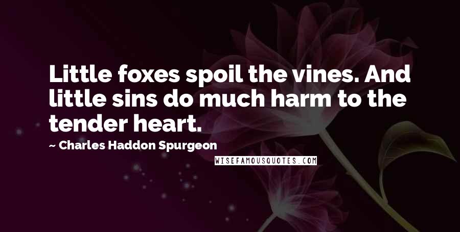 Charles Haddon Spurgeon Quotes: Little foxes spoil the vines. And little sins do much harm to the tender heart.