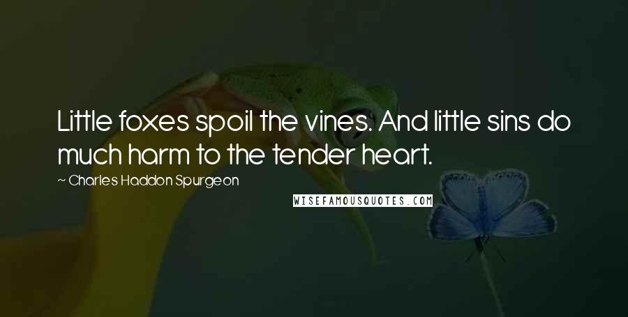Charles Haddon Spurgeon Quotes: Little foxes spoil the vines. And little sins do much harm to the tender heart.