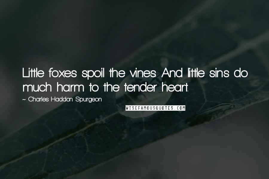 Charles Haddon Spurgeon Quotes: Little foxes spoil the vines. And little sins do much harm to the tender heart.