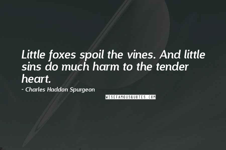 Charles Haddon Spurgeon Quotes: Little foxes spoil the vines. And little sins do much harm to the tender heart.