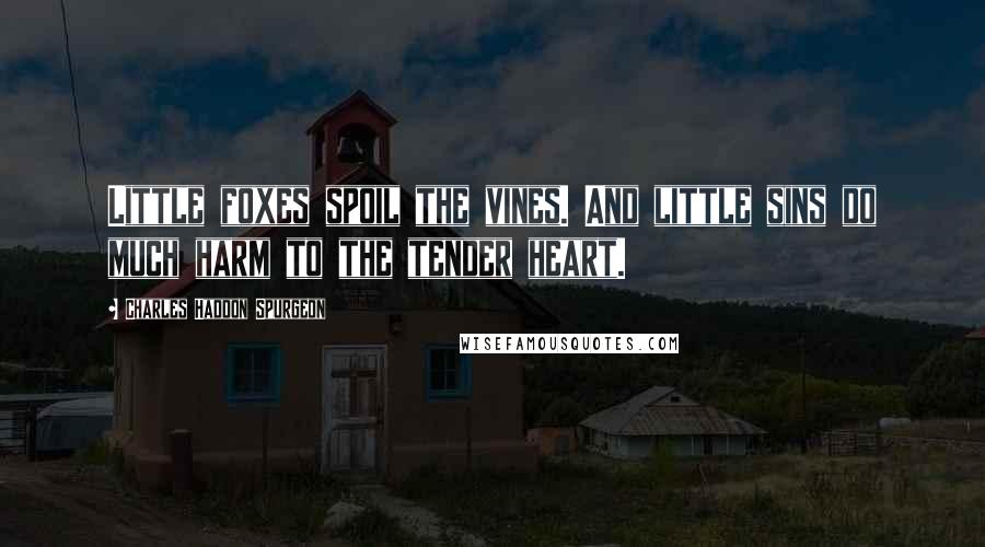 Charles Haddon Spurgeon Quotes: Little foxes spoil the vines. And little sins do much harm to the tender heart.