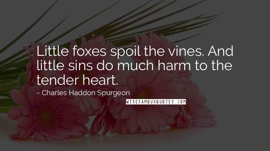 Charles Haddon Spurgeon Quotes: Little foxes spoil the vines. And little sins do much harm to the tender heart.