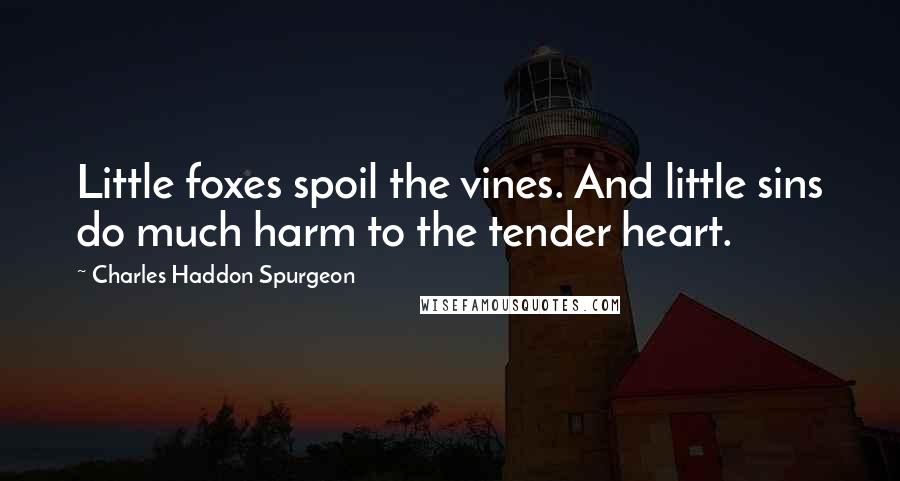 Charles Haddon Spurgeon Quotes: Little foxes spoil the vines. And little sins do much harm to the tender heart.