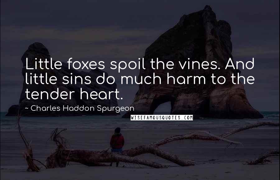 Charles Haddon Spurgeon Quotes: Little foxes spoil the vines. And little sins do much harm to the tender heart.