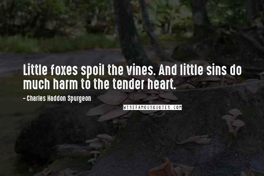 Charles Haddon Spurgeon Quotes: Little foxes spoil the vines. And little sins do much harm to the tender heart.