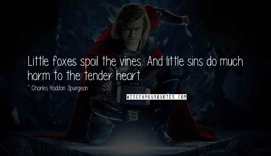 Charles Haddon Spurgeon Quotes: Little foxes spoil the vines. And little sins do much harm to the tender heart.