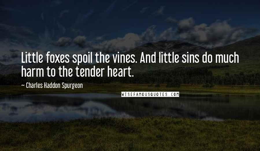 Charles Haddon Spurgeon Quotes: Little foxes spoil the vines. And little sins do much harm to the tender heart.