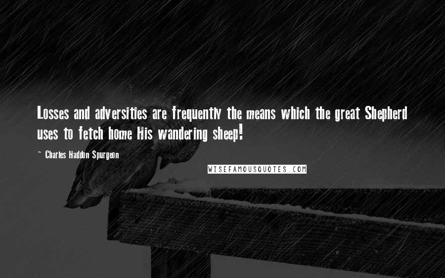 Charles Haddon Spurgeon Quotes: Losses and adversities are frequently the means which the great Shepherd uses to fetch home His wandering sheep!