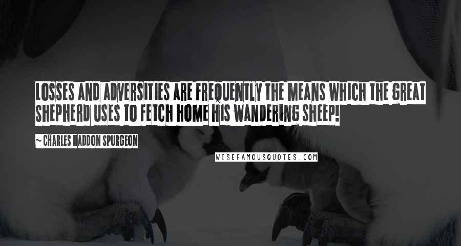 Charles Haddon Spurgeon Quotes: Losses and adversities are frequently the means which the great Shepherd uses to fetch home His wandering sheep!