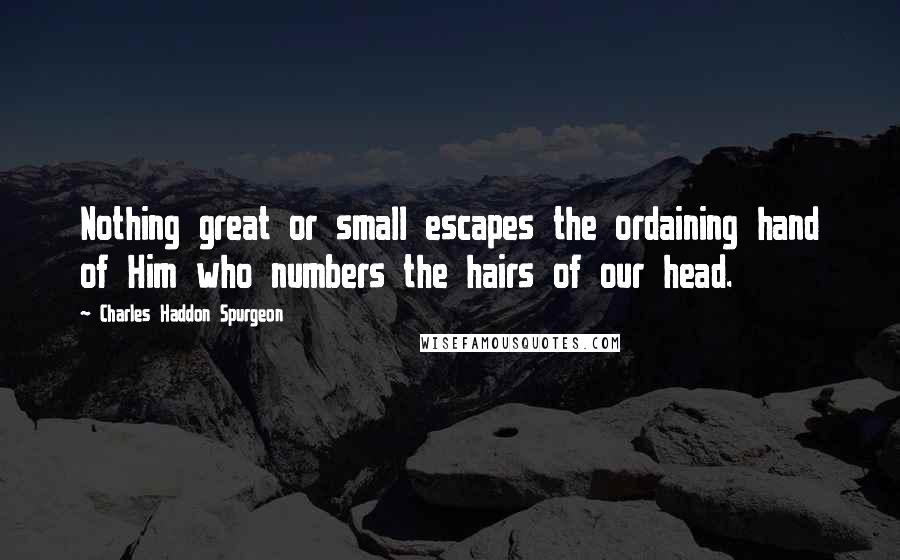 Charles Haddon Spurgeon Quotes: Nothing great or small escapes the ordaining hand of Him who numbers the hairs of our head.