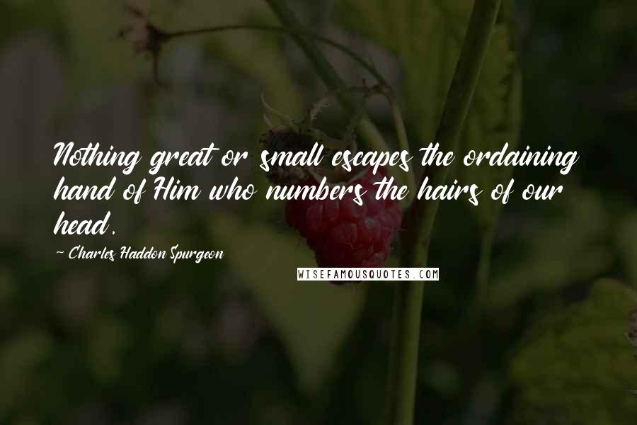 Charles Haddon Spurgeon Quotes: Nothing great or small escapes the ordaining hand of Him who numbers the hairs of our head.