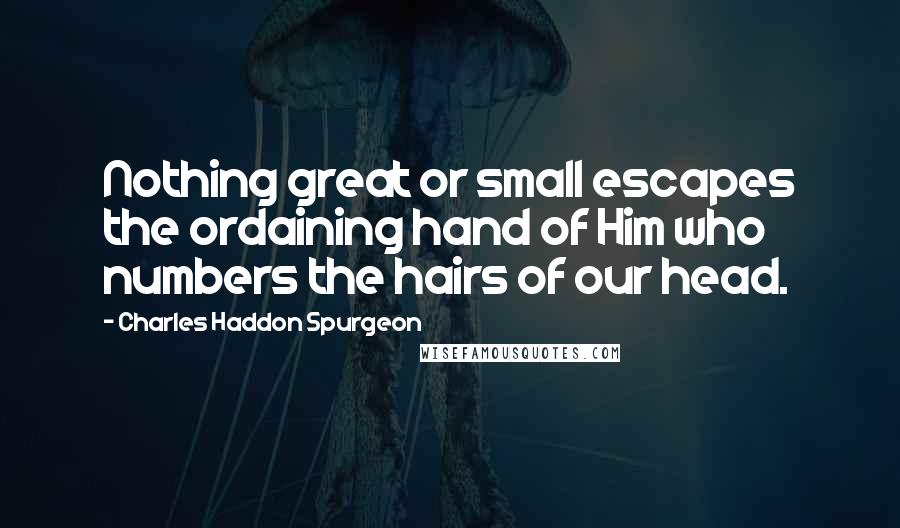 Charles Haddon Spurgeon Quotes: Nothing great or small escapes the ordaining hand of Him who numbers the hairs of our head.