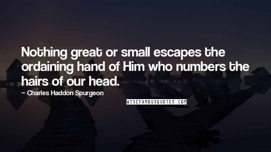 Charles Haddon Spurgeon Quotes: Nothing great or small escapes the ordaining hand of Him who numbers the hairs of our head.