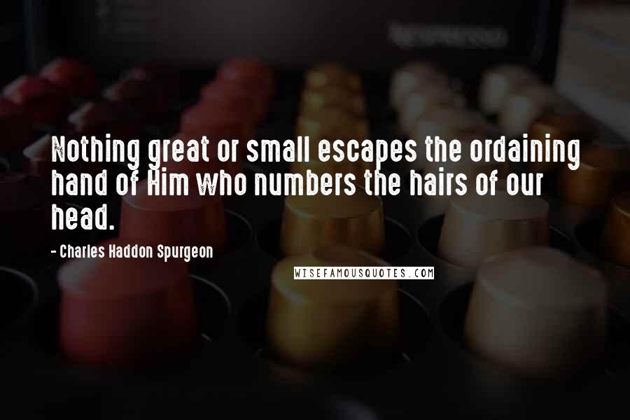 Charles Haddon Spurgeon Quotes: Nothing great or small escapes the ordaining hand of Him who numbers the hairs of our head.