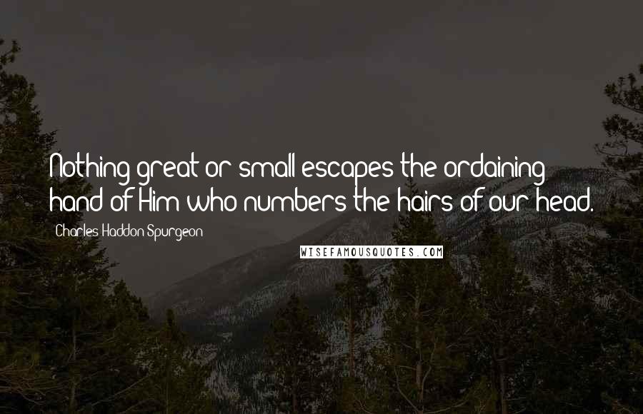 Charles Haddon Spurgeon Quotes: Nothing great or small escapes the ordaining hand of Him who numbers the hairs of our head.